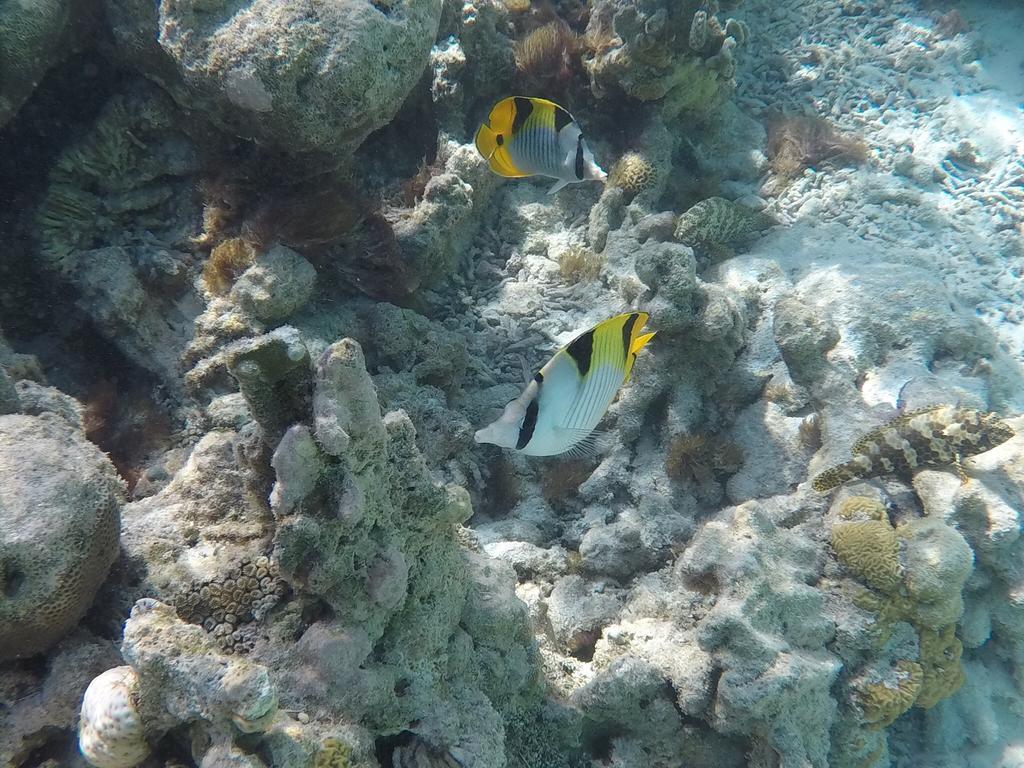 Hudhu Raakani Lodge Maldives Thinadhoo  Dış mekan fotoğraf