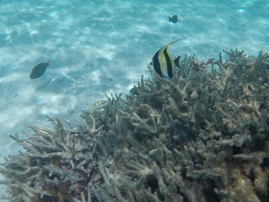 Hudhu Raakani Lodge Maldives Thinadhoo  Dış mekan fotoğraf