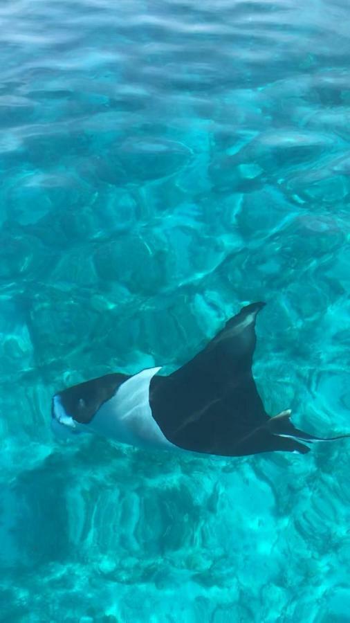 Hudhu Raakani Lodge Maldives Thinadhoo  Dış mekan fotoğraf